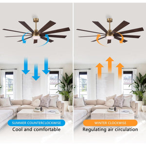 Solara | 64" Wood Ceiling Fan with Light