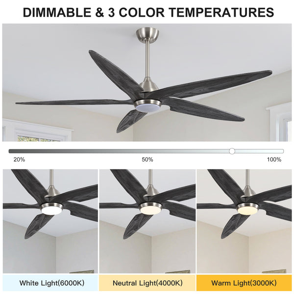 Carvo | 64’’ Wood Blades Ceiling Fan with Light