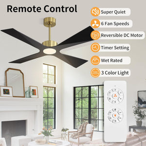 SkyBlade | 54" ABS Waterproof Ceiling Fan with Light