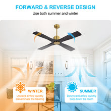 Load image into Gallery viewer, Wingbo Flying-MS DC Ceiling Fan without Lights, 4 Carved Solid Wood Blades,Brass &amp; Black
