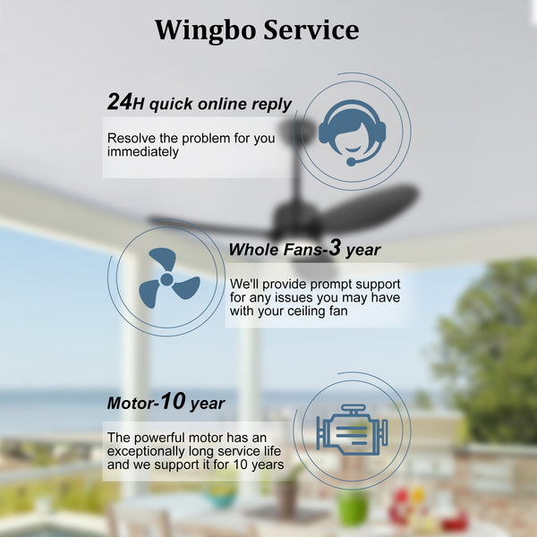 Flowara | 42" 3 Blades Waterproof Ceiling Fan with Light
