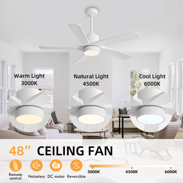 Zephyr Breeze | 48" Wood 5 Blades Ceiling Fan with Light
