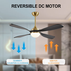 Velora | 54" Smart Ceiling Fan with Light