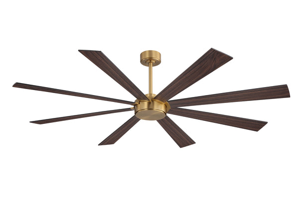 Wallisgo | 60" Wood Blades Ceiling Fan