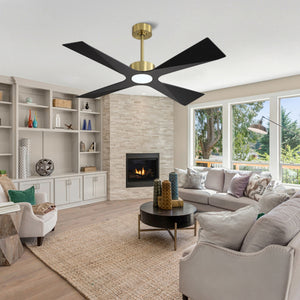 SkyBlade | 54" ABS Waterproof Ceiling Fan with Light