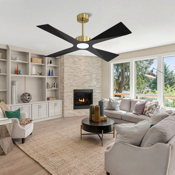 SkyBlade | 54" ABS Waterproof Ceiling Fan with Light