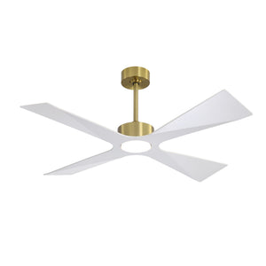 SkyBlade | 54" ABS Waterproof Ceiling Fan with Light
