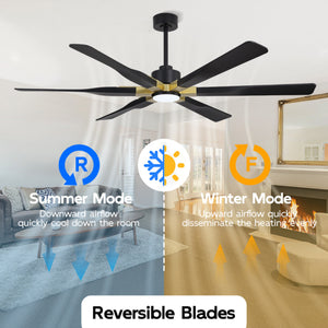 Aurevo | 78’’ ABS Blades Ceiling Fan with Light
