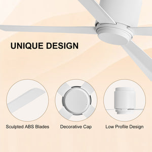 Coolynx | 54" Wet-Rated Ceiling Fan