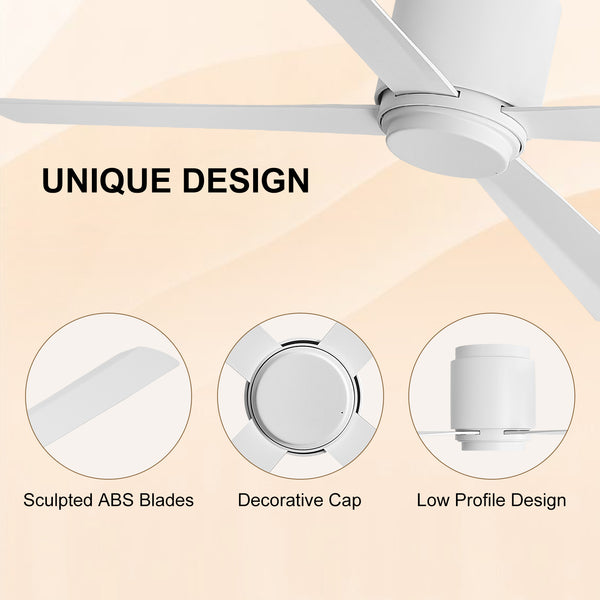 Coolynx | 54" Wet-Rated Ceiling Fan