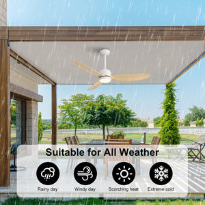 Flowara | 52" 3 Blades Waterproof Ceiling Fan with Light