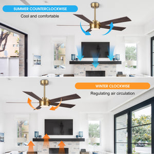 LumiWood | 54" Wood Blades Ceiling Fan with Light