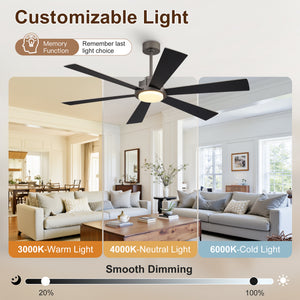 Velaris | 60"  6 Plywood Blades Ceiling Fan with Light