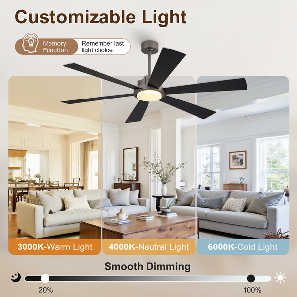 Velaris | 60"  6 Plywood Blades Ceiling Fan with Light