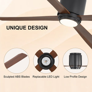 Coolynx | 54" Wet-Rated Ceiling Fan with Light
