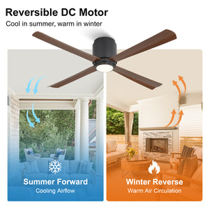 Coolynx | 54" Wet-Rated Ceiling Fan with Light