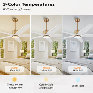 RattanElegance | 60" Wood Blades Ceiling Fan with Light