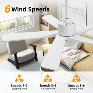 Zephyr Breeze | 48" Wood 5 Blades Ceiling Fan with Light