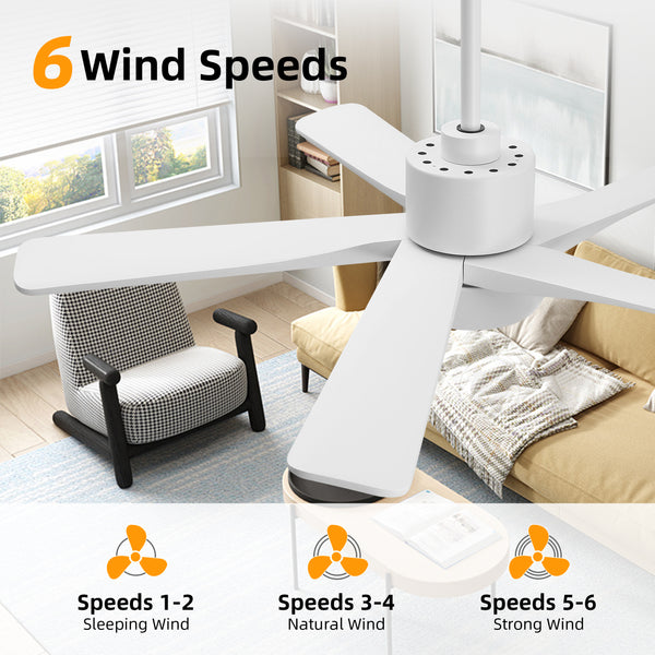 Zephyr Breeze | 48" Wood 5 Blades Ceiling Fan with Light