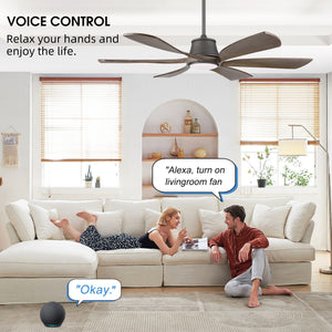 AeroWave | 60" Smart Ceiling Fan with Light