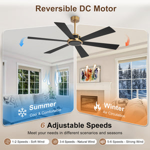 Velaris | 60"  6 Plywood Blades Ceiling Fan