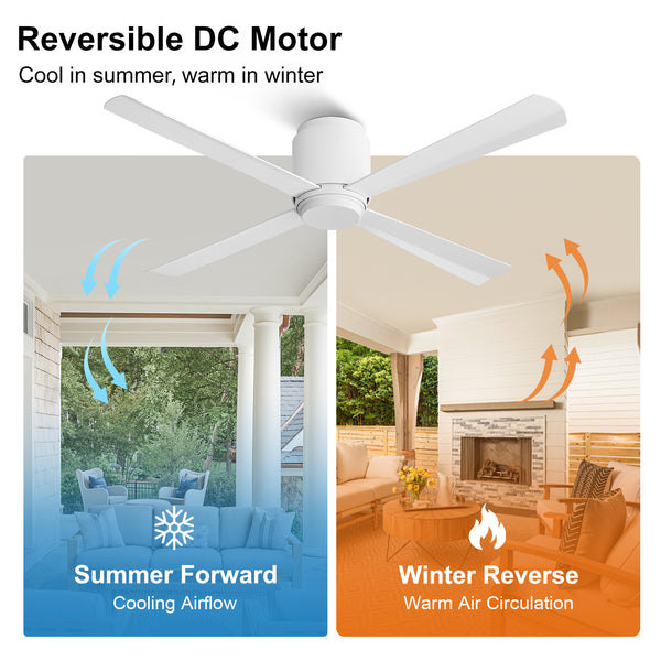 Coolynx | 54" Wet-Rated Ceiling Fan