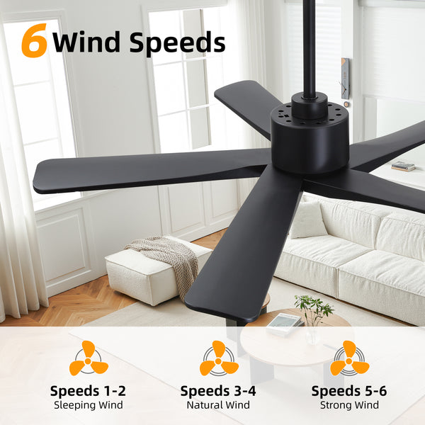 Zephyr Breeze | 48" Wood 5 Blades Ceiling Fan