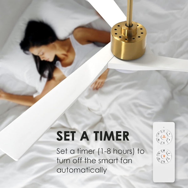 BrisaLux | 64" Wood Blades Ceiling Fan with Light