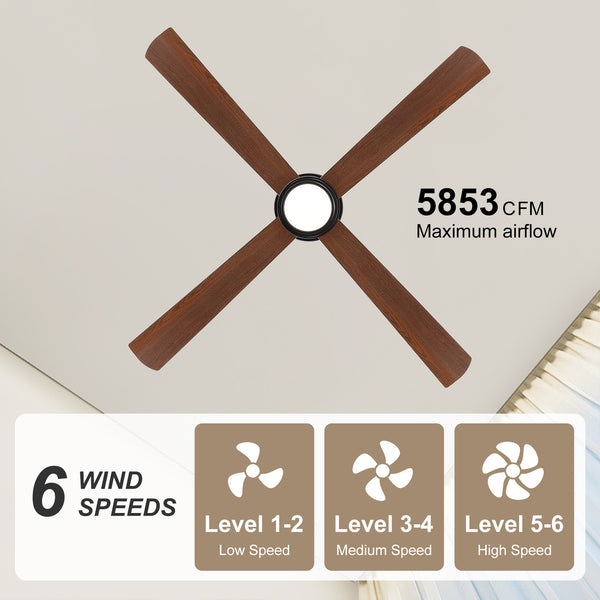 Coolynx | 54" Wet-Rated Ceiling Fan with Light