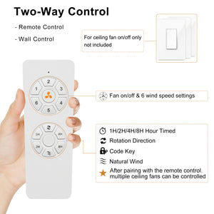 Wallisgo | 60" Wood Blades Ceiling Fan