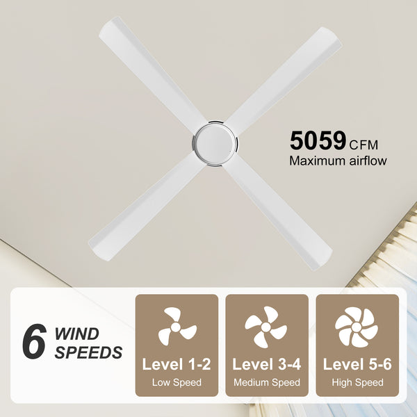 Coolynx | 54" Wet-Rated Ceiling Fan