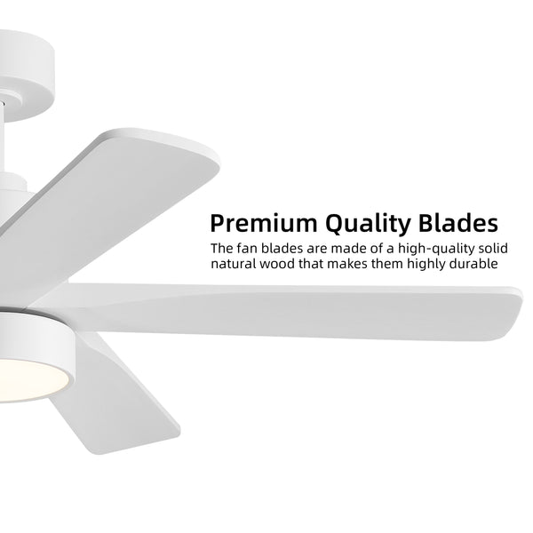 Zephyr Breeze | 48" Wood 5 Blades Ceiling Fan with Light