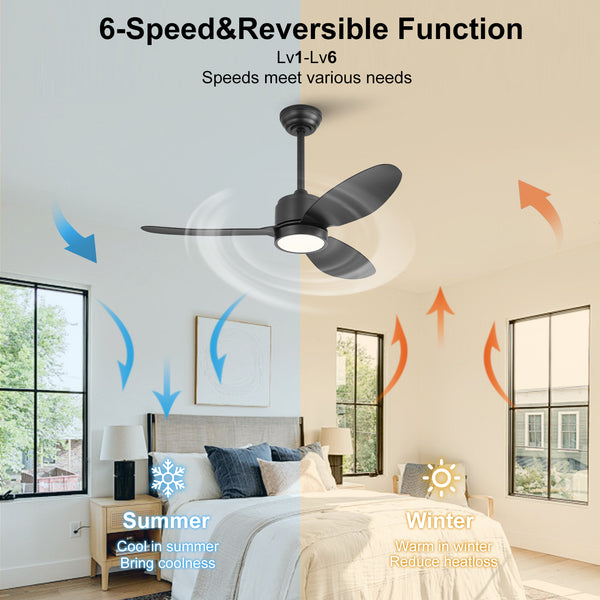 Flowara | 42" 3 Blades Waterproof Ceiling Fan with Light