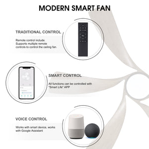 AeroWave | 60" Smart Ceiling Fan with Light