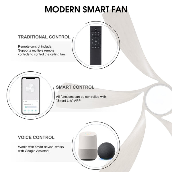 AeroWave | 60" Smart Ceiling Fan with Light