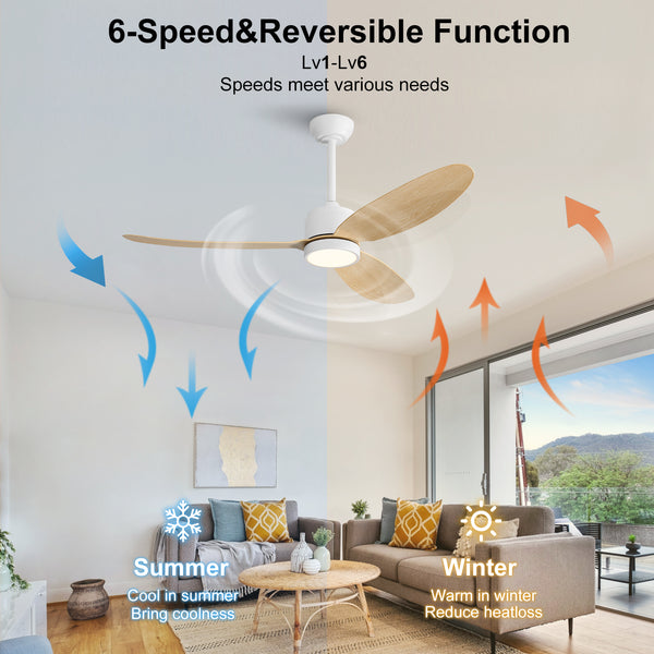 Flowara | 52" 3 Blades Waterproof Ceiling Fan with Light