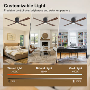 Coolynx | 54" Wet-Rated Ceiling Fan with Light