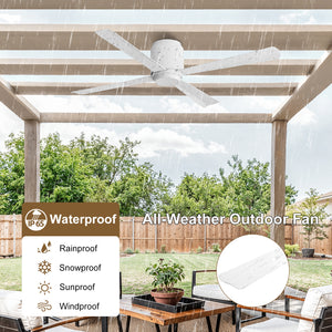 Coolynx | 54" Wet-Rated Ceiling Fan