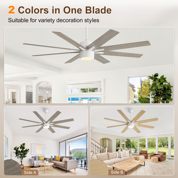Climora | 64’’ Wood Blades Ceiling Fan with light