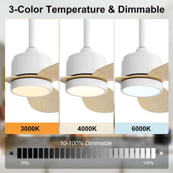 Flowara | 52" 3 Blades Waterproof Ceiling Fan with Light