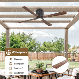 Coolynx | 54" Wet-Rated Ceiling Fan with Light