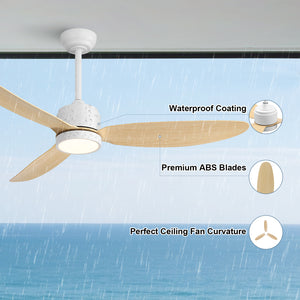 Flowara | 52" 3 Blades Waterproof Ceiling Fan with Light