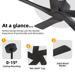 Zephyr Breeze | 48" Wood 5 Blades Ceiling Fan