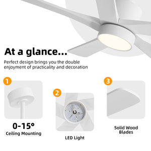 Zephyr Breeze | 48" Wood 5 Blades Ceiling Fan with Light