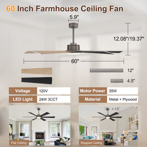 Velaris | 60"  6 Plywood Blades Ceiling Fan with Light