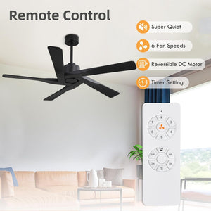AeroGlow | 54" ABS Ceiling Fan