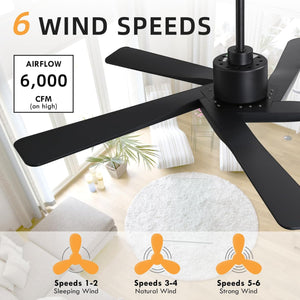 AeroGlow | 54" ABS Ceiling Fan