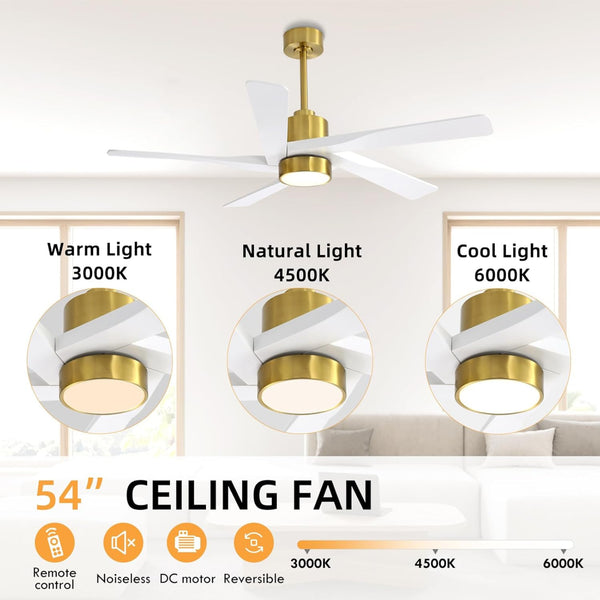 AeroGlow | 54" ABS Ceiling Fan with Light