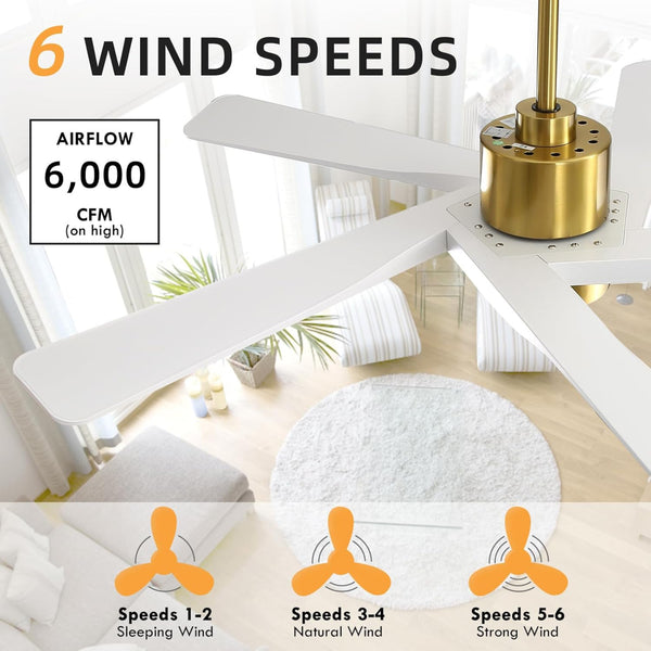 AeroGlow | 54" ABS Ceiling Fan with Light