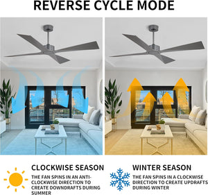 SkyBlade | 54" ABS Waterproof Ceiling Fan